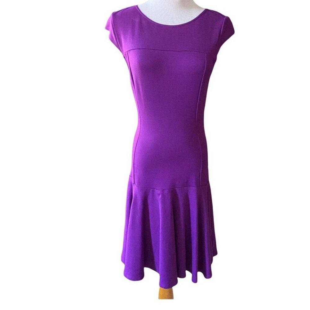 Kate Young For Target Drop Waist Dress Purple Size 2 Stretch